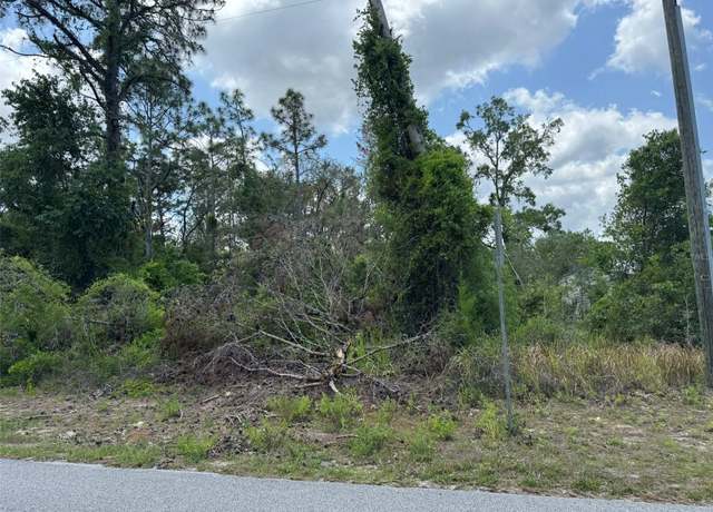 Property at Lot 3 Long Lake Ave, Weeki Wachee, FL 34613