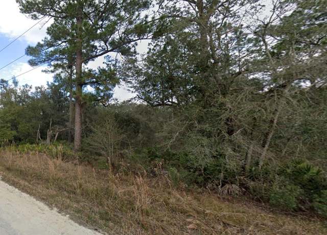 Property at Otter Dr, Webster, FL 33597