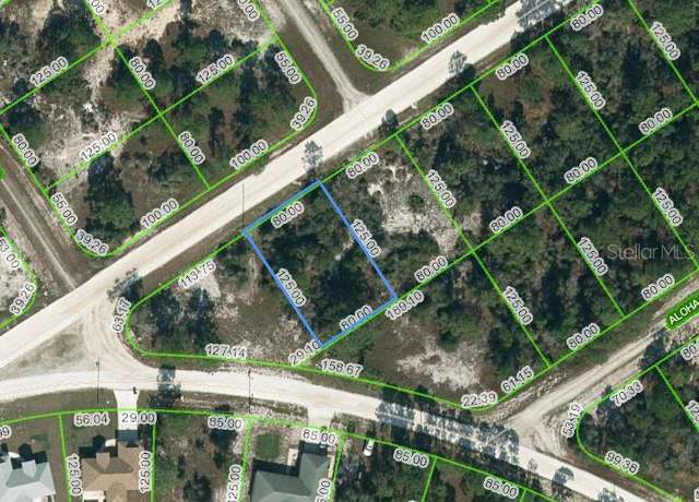 Property at 443 Gloria Blvd, Lake Placid, FL 33852