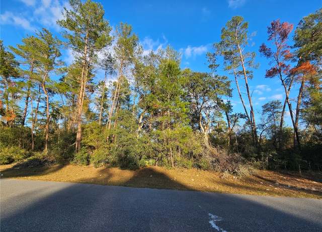 Property at 0 SW 33rd Ter, Ocala, FL 34473