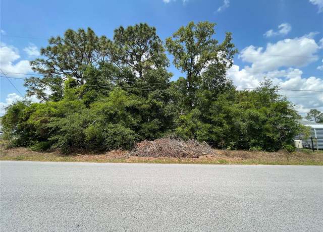 Property at TBD SE 98th Ct, Summerfield, FL 34491