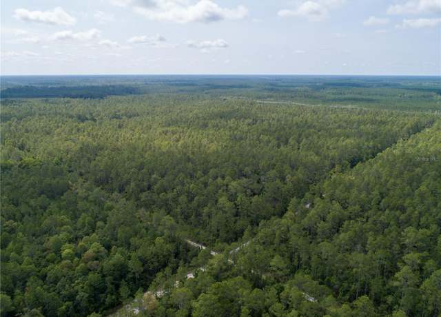 Property at Donna St, Hastings, FL 32145