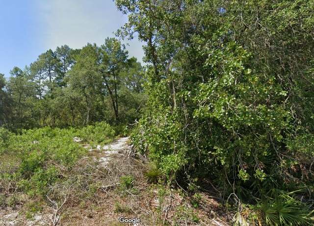 Property at Fisher Pass, Ocklawaha, FL 32179