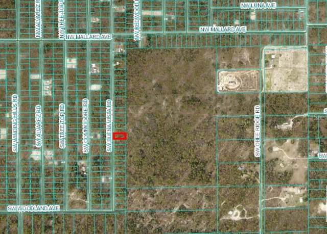 Property at 0 SW Buena Vista Rd, Dunnellon, FL 34431