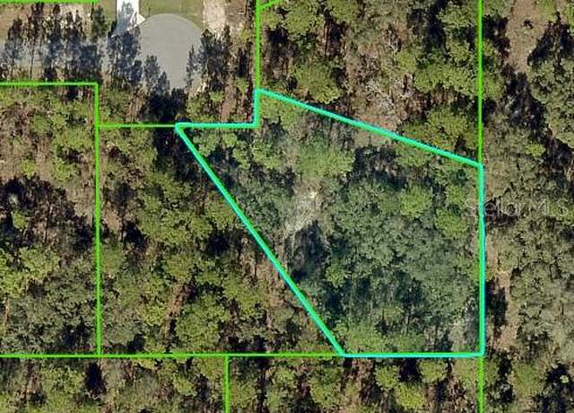 Property at 11342 Telephone Rd, Weeki Wachee, FL 34614