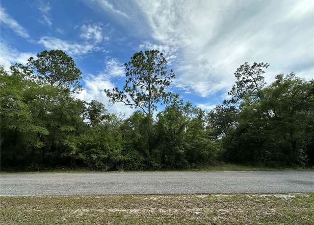Property at TBD NE 220th St, Fort Mc Coy, FL 32134