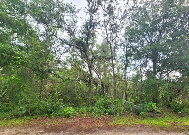 Property at SE 20 Pl, Silver Springs, FL 34488