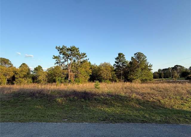 Property at Lot 2 SW 65th Loop, Dunnellon, FL 34432