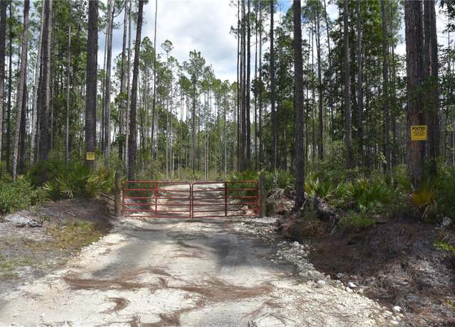 Property at NE 130th Ave, Fort Mc Coy, FL 32134