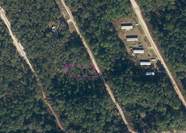 Property at 117 Coot Rd, Satsuma, FL 32189