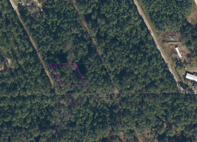 Property at 314 Hawknest Rd, Satsuma, FL 32189
