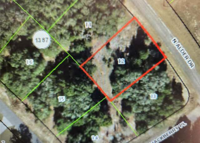 Property at 10804 N Adler Dr, Citrus Springs, FL 34434