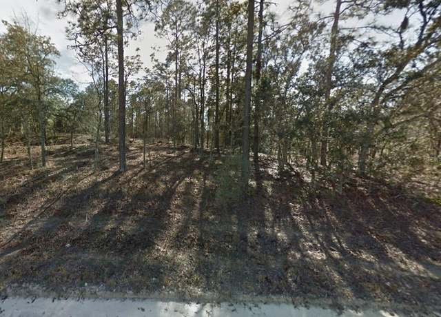 Property at 0 SE 21st Pl, Morriston, FL 32668