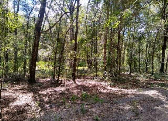 Property at TBD SW 79th Pl, Archer, FL 32618