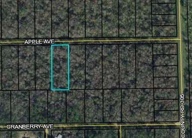 Property at 3681 Apple Ave, Bunnell, FL 32110