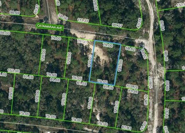 Property at 341 Catamaran Ave, Lake Placid, FL 33852