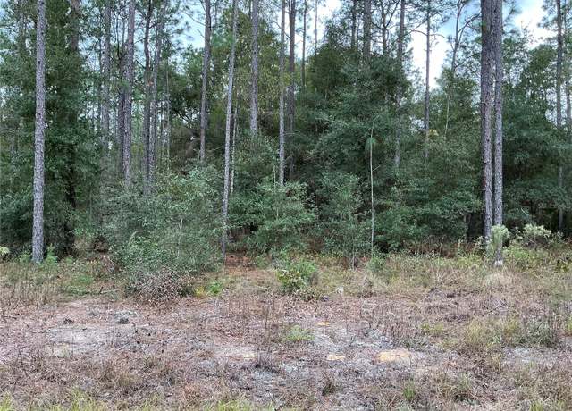 Property at SW 29th St, Ocala, FL 34481