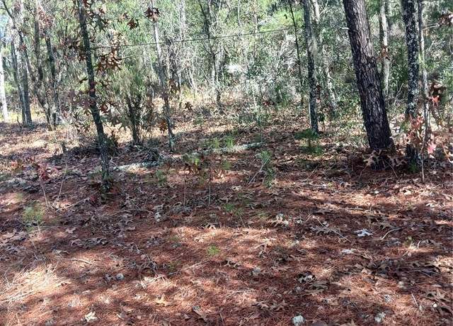 Property at Lot 11 Lake Lucy Cir, Interlachen, FL 32148