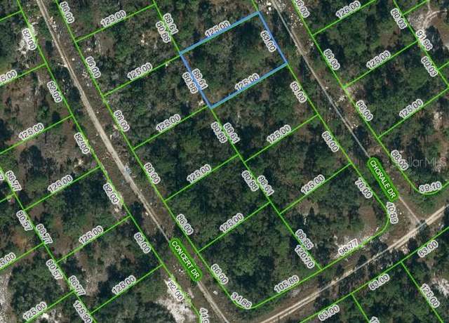 Property at 366 Chorale Dr, Lake Placid, FL 33852