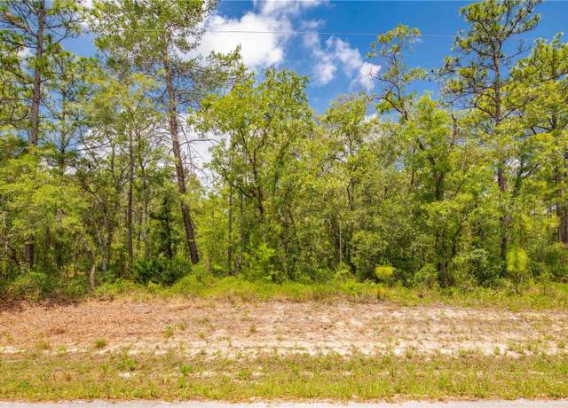 Property at 16295 Mount Sparrow Rd, Weeki Wachee, FL 34614