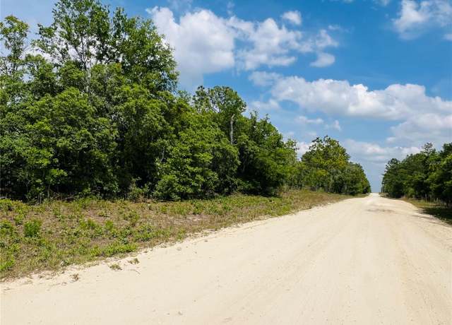 Property at 0000 NE 132 Terrace Ter, Williston, FL 32696