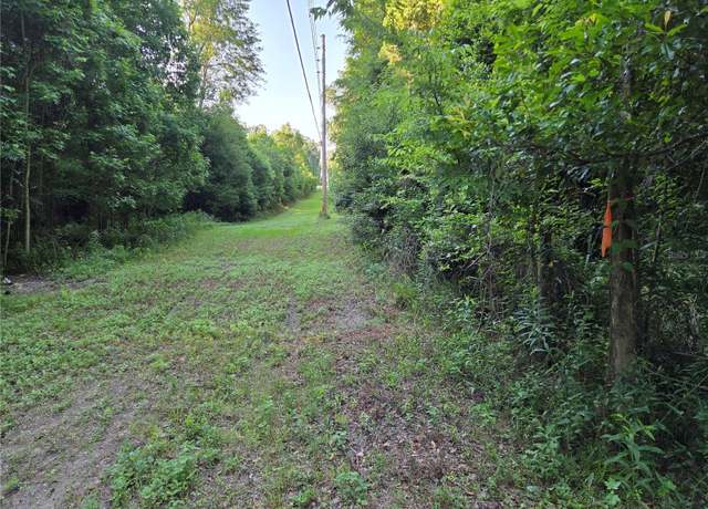 Property at 15929 NW 135 Ter, Alachua, FL 32615