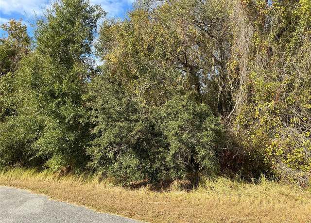 Property at Spruce Ter, Ocala, FL 34472