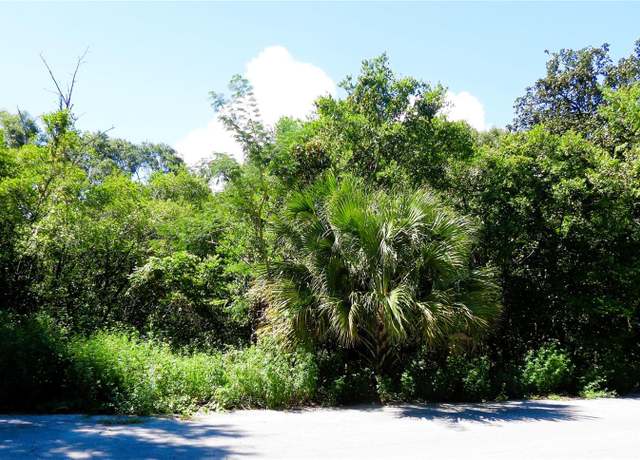 Property at 130th Pl, Ocklawaha, FL 32179