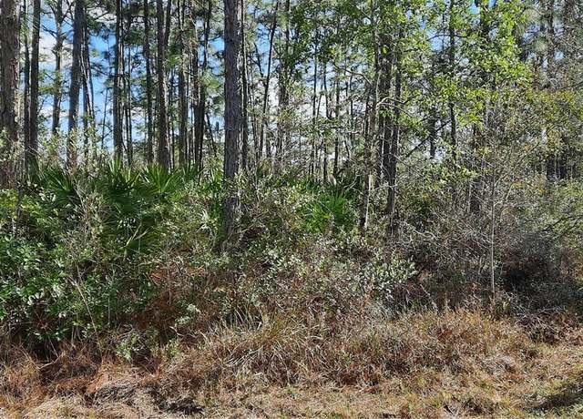 Property at Azalea Dr, Indian Lake Estates, FL 33855