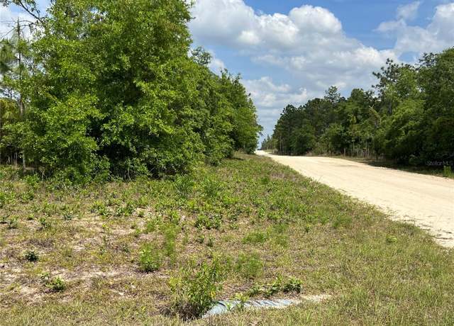 Property at 0000 NE 131 Terrace Ter, Williston, FL 32696