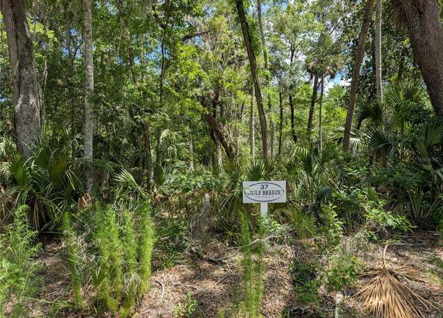 Property at 13159 W Gulf Shores St, Inglis, FL 34449