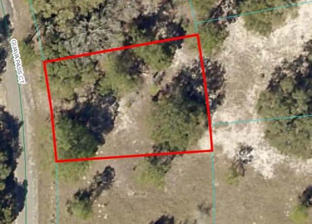 Property at Guava Pass Ct, Ocklawaha, FL 32179