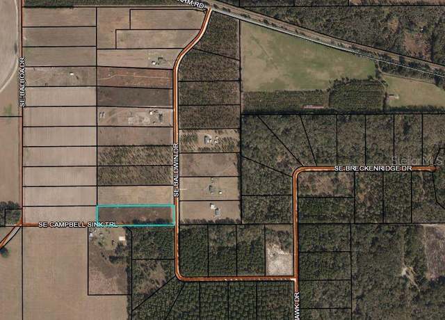 Property at SE Baldwin Dr, Lee, FL 32059