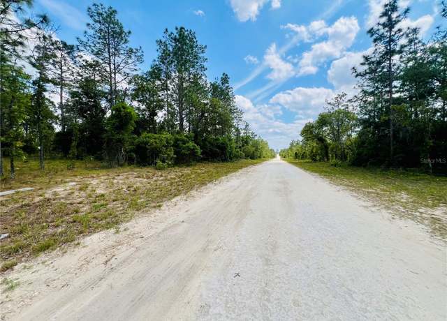 Property at 0000 NE 131 Terrace Ter, Williston, FL 32696