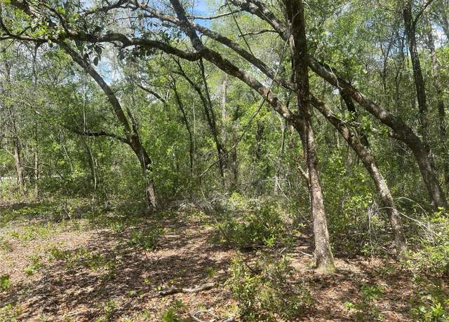 Property at 2205 Adams St, Inverness, FL 34453