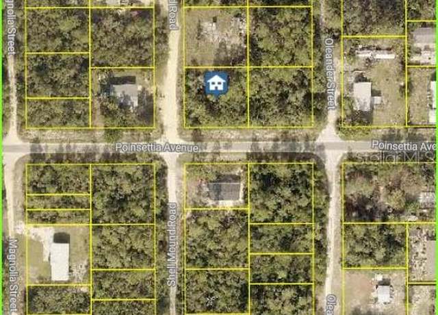 Property at Oak St, Paisley, FL 32767