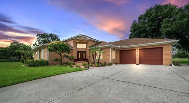 Photo of 10044 Twelve Oaks Ct, Spring Hill, FL 34613