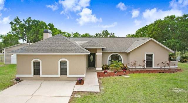 Photo of 13109 Lilita Ave, Dover, FL 33527