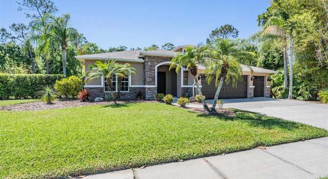 Photo of 12801 Castlemaine Dr, Tampa, FL 33626