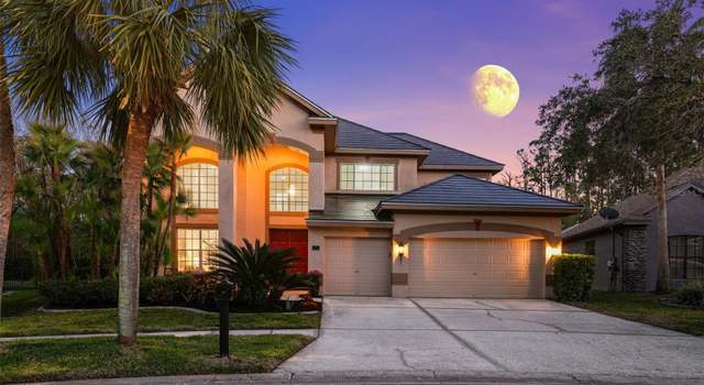 Photo of 10436 Greendale Dr, Tampa, FL 33626