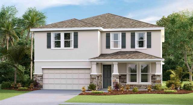 Photo of 10589 Farm Hill Ave, Land O Lakes, FL 34638