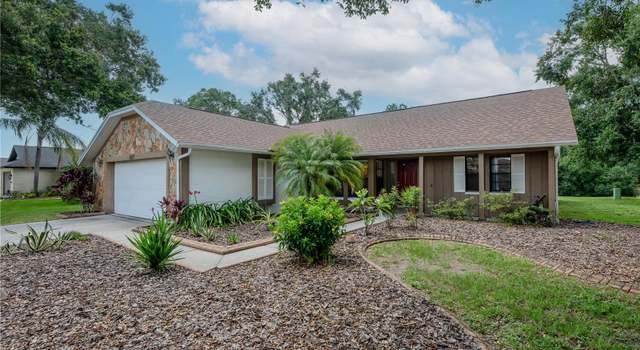 Photo of 1617 Dawnridge Ct, Brandon, FL 33510
