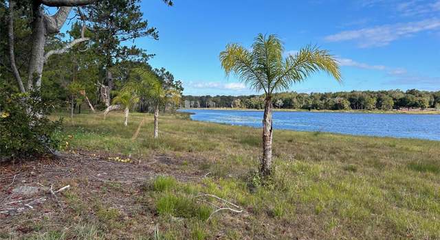 Photo of Mayfield Rd, Seville, FL 32190