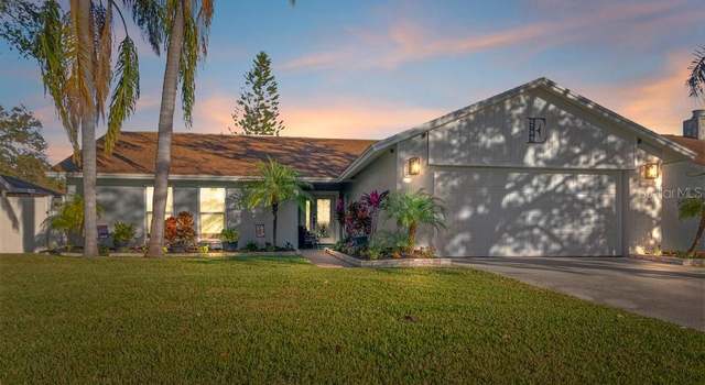 Photo of 6709 Ranger Dr, Tampa, FL 33615