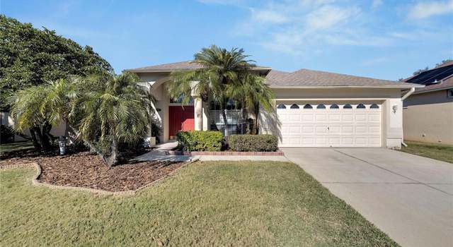 Photo of 9907 Colonnade Dr, Tampa, FL 33647