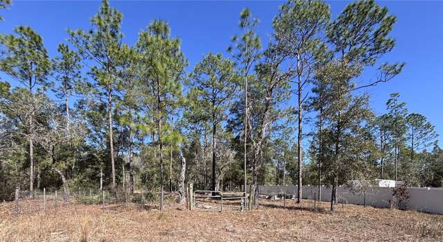 Photo of NE 3rd Pl, Williston, FL 32696