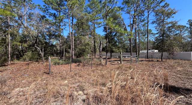 Photo of NE 3rd Pl, Williston, FL 32696