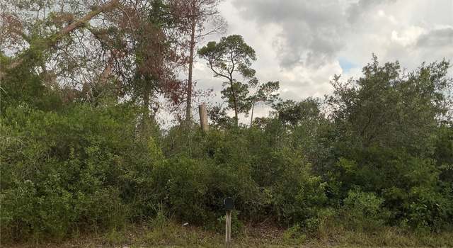 Photo of 10128 Noddy Tern Rd, Weeki Wachee, FL 34613