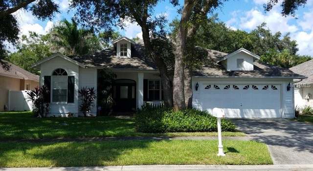 Photo of 2822 Branch Creek Ave, Clearwater, FL 33760