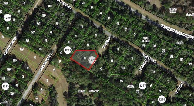 Photo of 9930 N Joel Pt, Citrus Springs, FL 34434